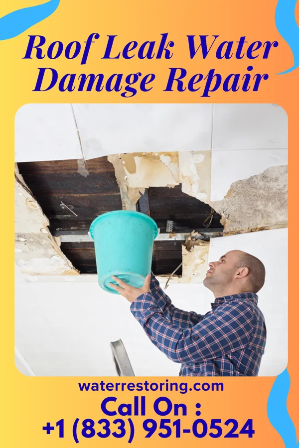 Roof Leak Water Damage Repair in Shamrock Colony, SD